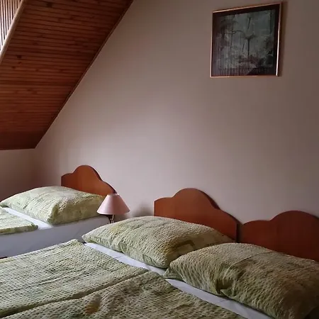 Pensiune Stop Panzio Debreţin
